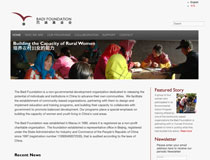Badi Foundation